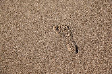 《炉石传说》将停服 网易《秘境对决》今日重启运营